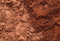 Natural vs Dutch-Process Cocoa: Key Differences