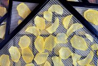 Dehydrate Potatoes: Oven and Dehydrator Methods for Storage