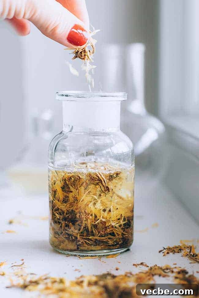 Grow These 7 Medicinal Plants at Home for Natural Remedies 6 Calendula