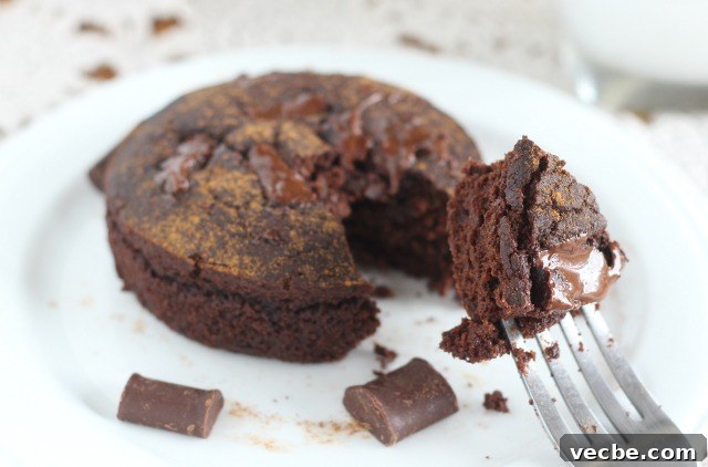 Oil-Free Microwave Chocolate Mug Cake 3 Low sugar chocolate cake for one