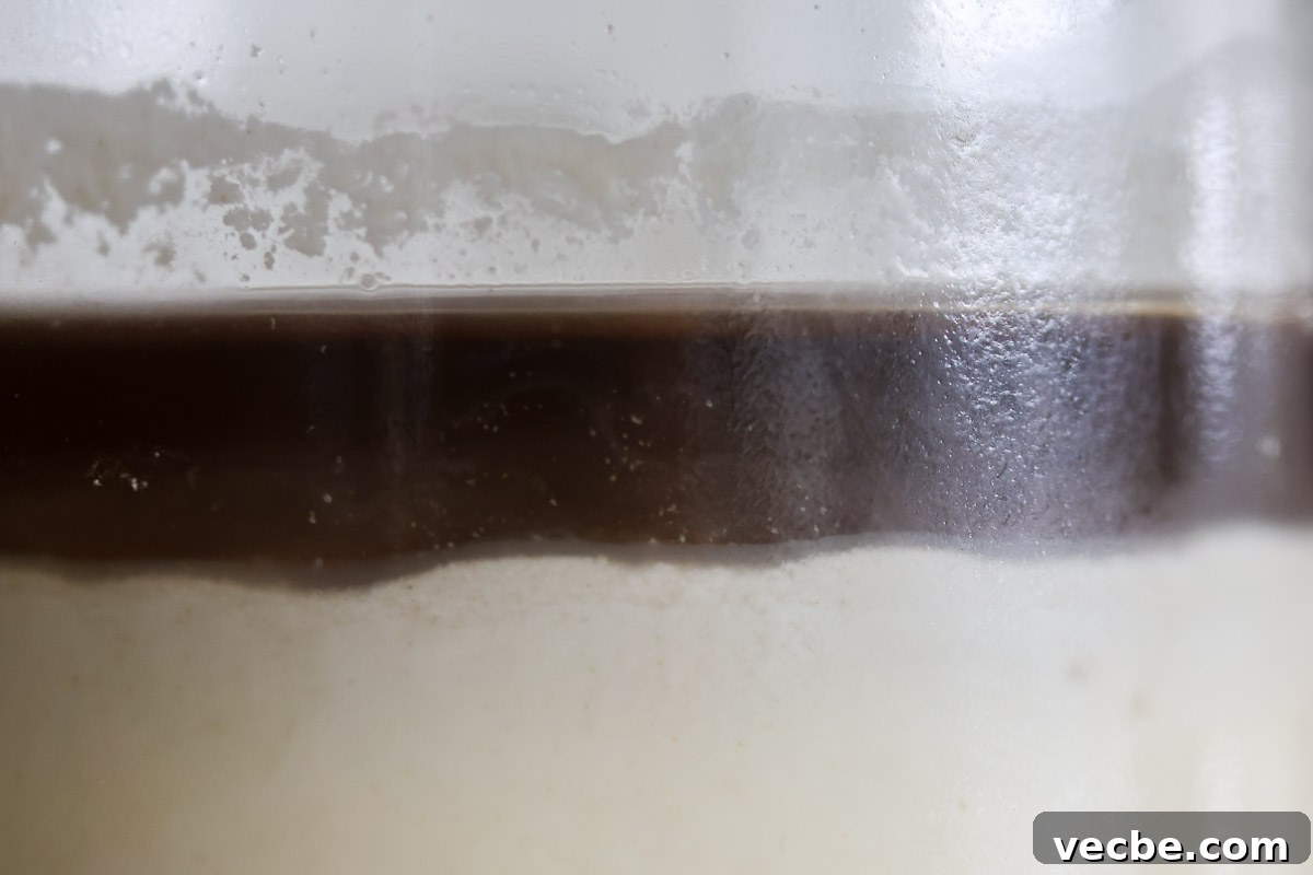 Why Your Sourdough Starter Is Weak and How to Revive It 4 A thick layer of hooch on a weak sourdough starter.