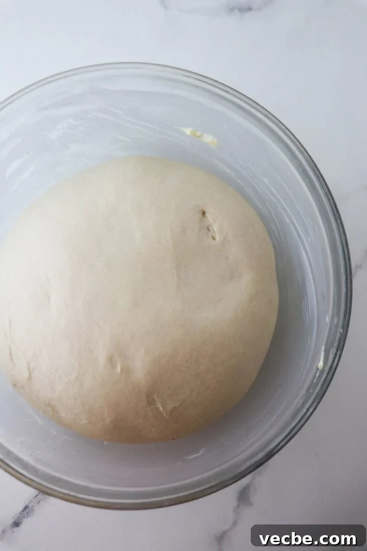 Homemade Soft and Tender Buttermilk Bread Recipe 7 Risen dough for Soft and Tender Buttermilk Bread.
