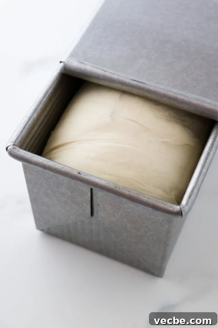 Homemade Soft and Tender Buttermilk Bread Recipe 9 Unbaked loaf of buttermilk bread in a pullman pan with the lid partially slid back.