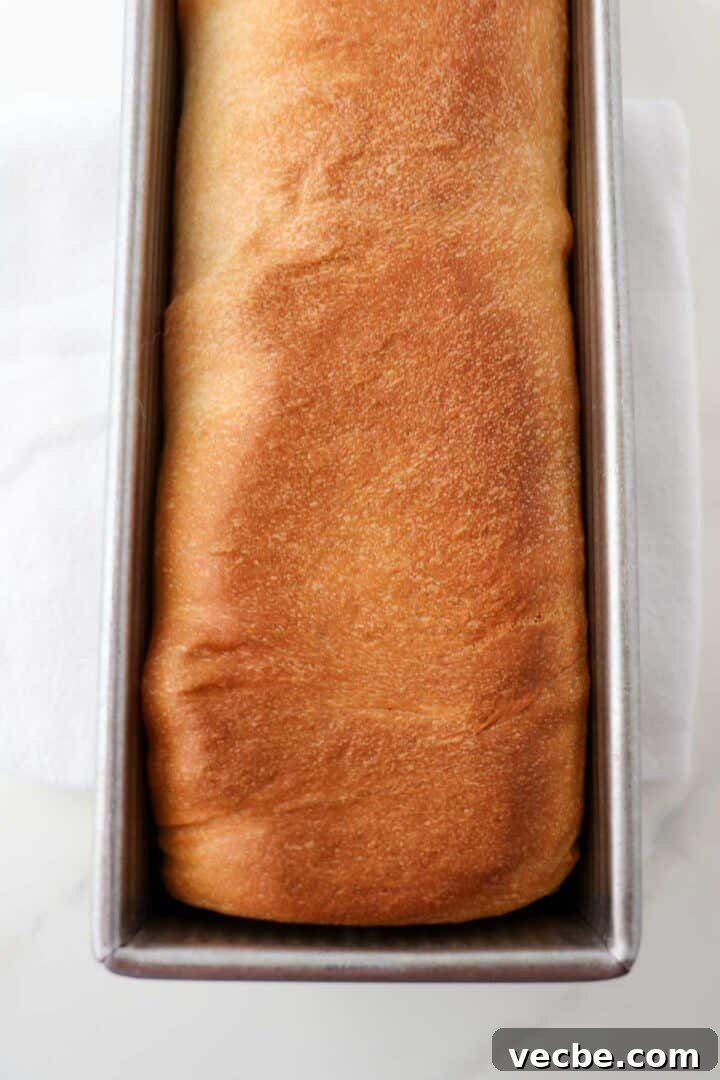 Homemade Soft and Tender Buttermilk Bread Recipe 10 Loaf of Buttermilk Bread in a metal baking pan.