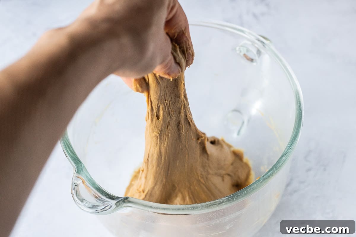 Vegan Gingerbread Cinnamon Rolls Recipe 4 the stretchy, kneaded dough