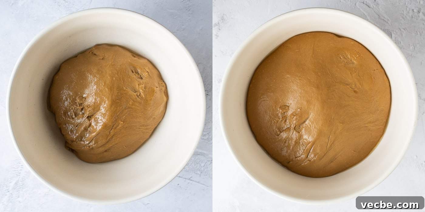 Vegan Gingerbread Cinnamon Rolls Recipe 5 step 4 - letting the dough rise