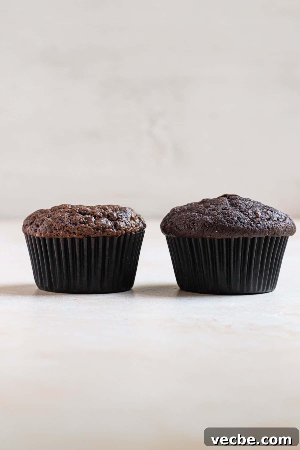 Natural vs Dutch-Process Cocoa: Key Differences 4 two double chocolate muffins