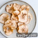 Gluten-Free Apple Recipes: 10+ Desserts, Snacks and More 15 Dried apple slices on a gray plate.