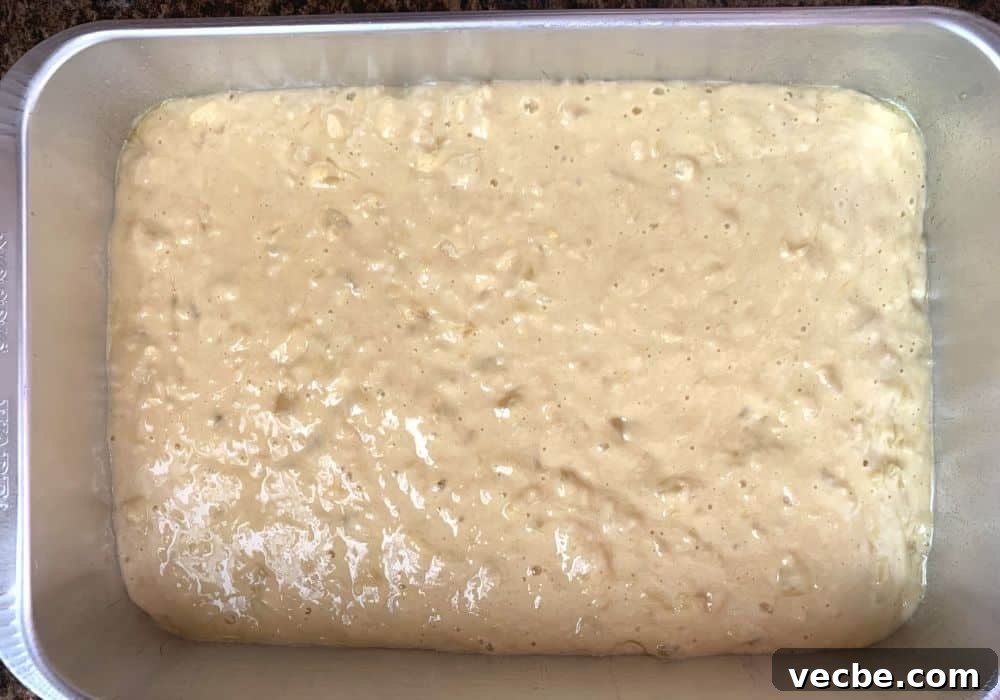 Old-Fashioned Grandma's Cake Recipe 6 granny cake batter poured into a prepared 13x9" cake pan