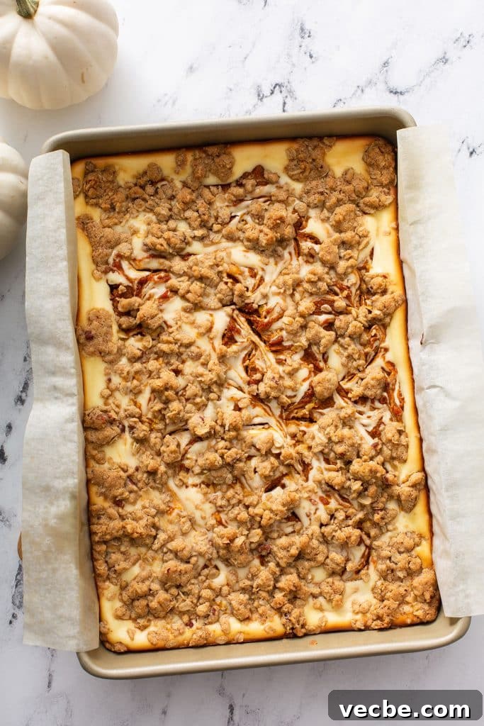 Pumpkin Cheesecake Bars with Creamy Swirl 13 Baked swirled pumpkin cheesecake bars with oat streusel.
