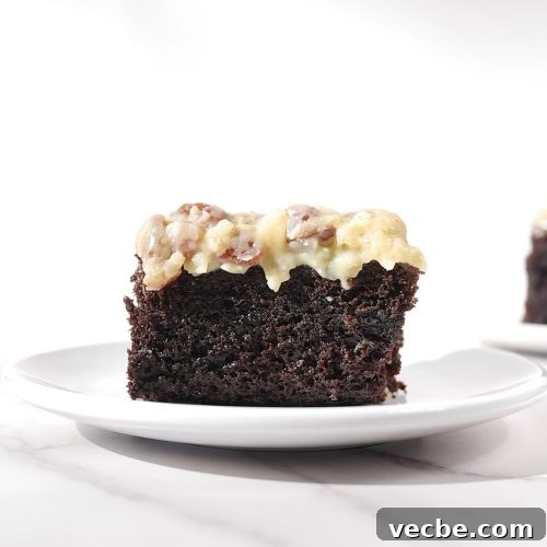 Chocolate wacky cake/depression cake