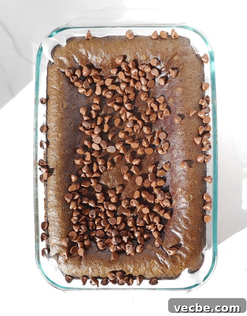 Egg-Free, Dairy-Free Wacky Cake (Depression Cake) 6 img 12471 5