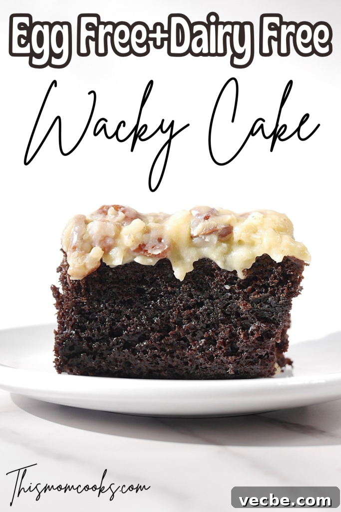 Egg-Free, Dairy-Free Wacky Cake (Depression Cake) 7 img 12471 6