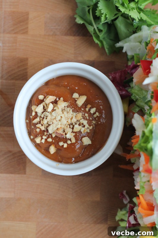 Asian Spring Rolls for Entertaining and Party Appetizers 6 Fresh Asian spring rolls served with creamy peanut dipping sauce
