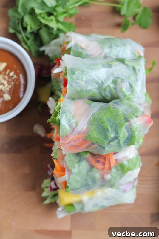 Asian Spring Rolls for Entertaining and Party Appetizers 8 Vietnamese-style spring rolls made two ways with peanut sauce