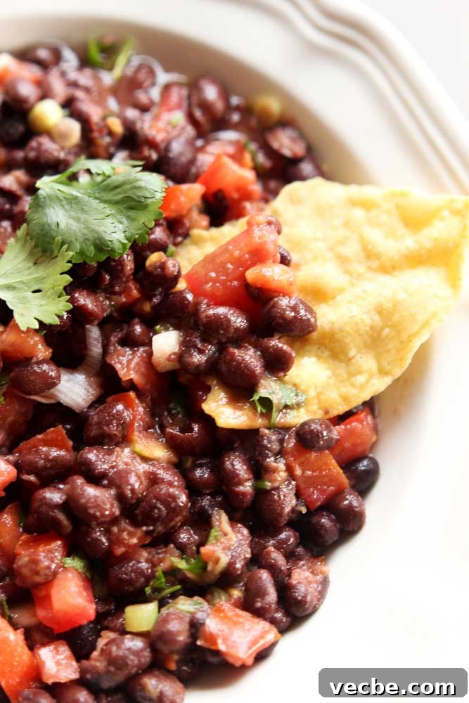 15 No-Bake Snack Recipes You Can Make in Minutes 4 White bowl containing a black bean dip topped with cilantro, tortilla chip in dip.