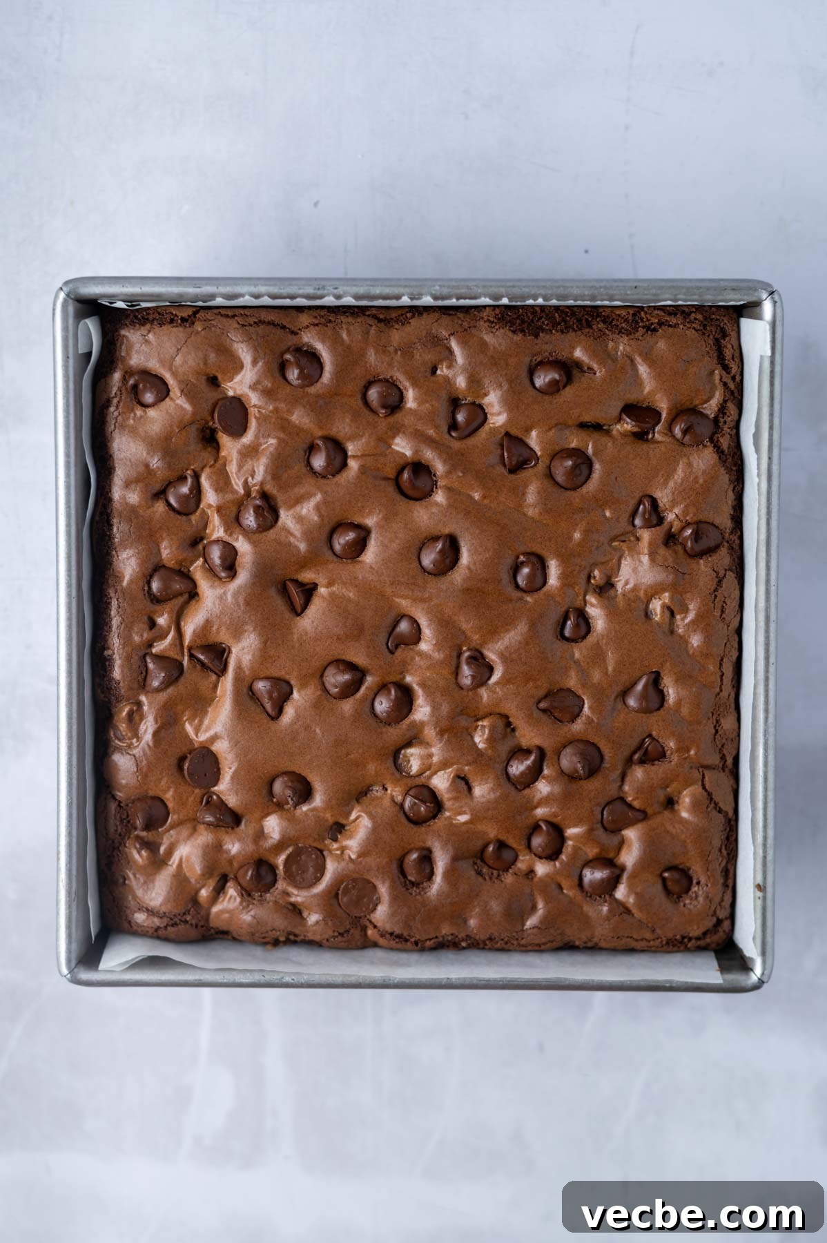One-Bowl Double Chocolate Chip Bars 10 baked chocolate chocolate chip cookie bars in an 8x8 baking tin