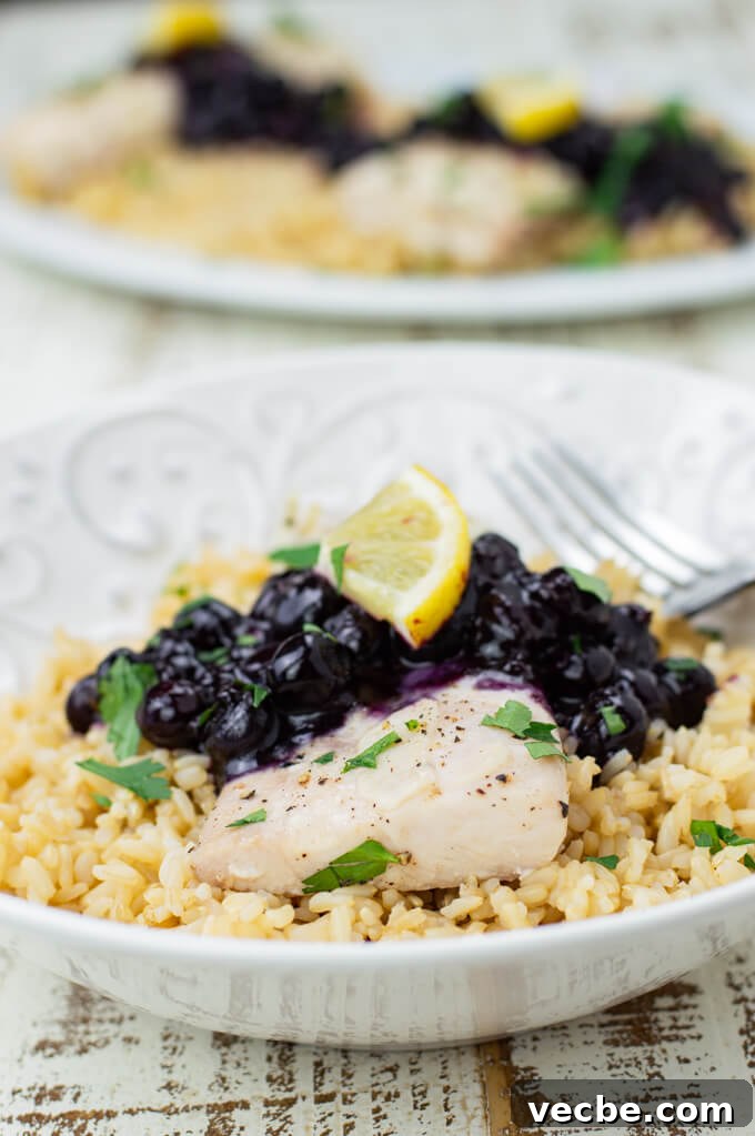 Baked Mahi Mahi with Fresh Blueberry Sauce 7 A bowl of brown rice with a piece of baked mahi mahi and blueberry sauce.