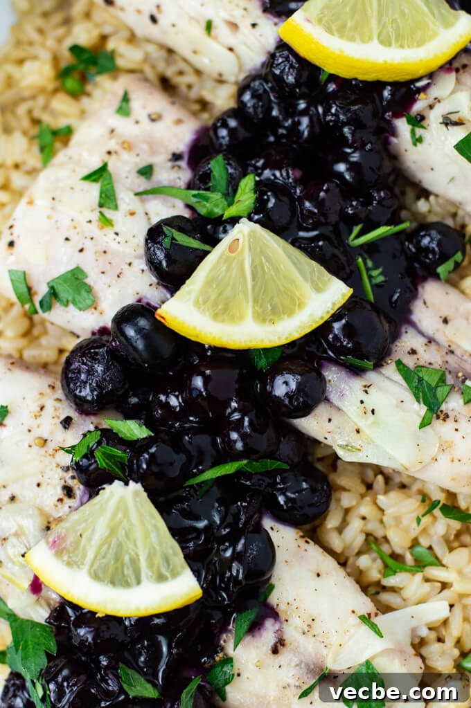Baked Mahi Mahi with Fresh Blueberry Sauce 8 Three pieces of baked mahi mahi sitting on a bed of brown rice topped with blueberry sauce and lemon wedges and sprinkled with chopped parsley.