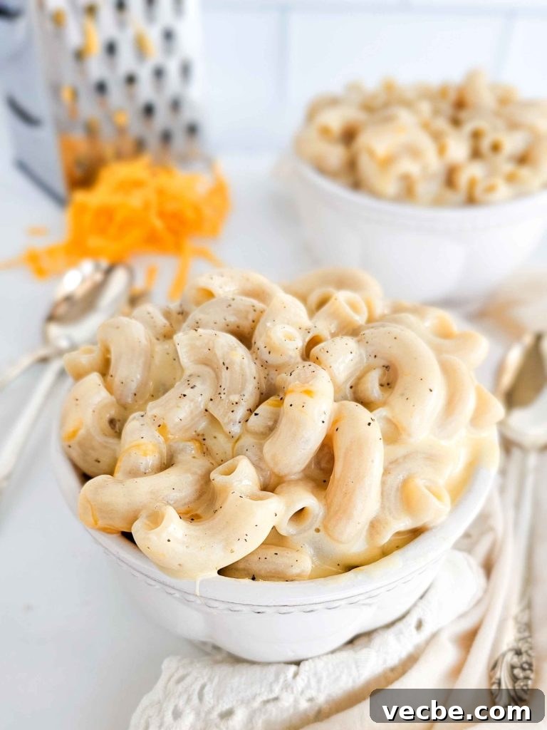 Gluten-Free Boxed-Style Mac and Cheese Recipe 7 img 14635 6