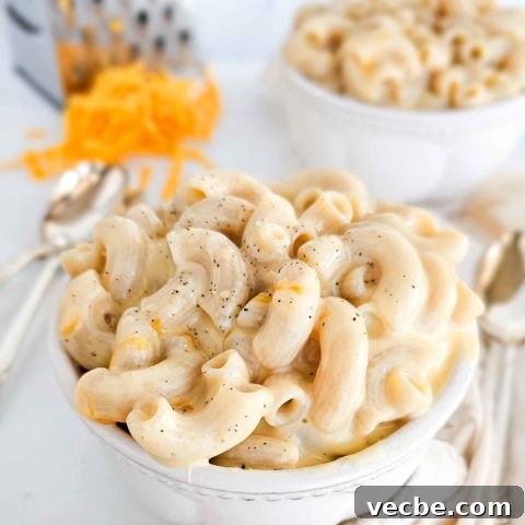 Gluten-Free Boxed-Style Mac and Cheese Recipe 8 bowl of gluten free mac and cheese with creamy sauce