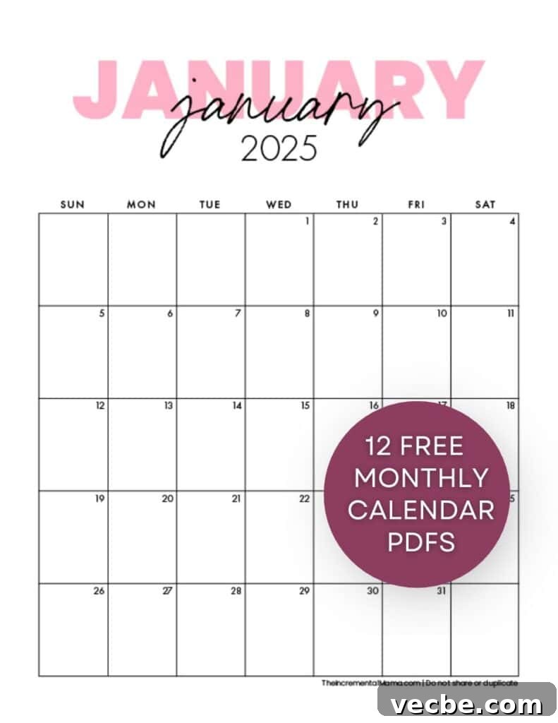 2025 Pink Calendar Templates Free Printable PDF 2 january 2025 free printable calendar PDF