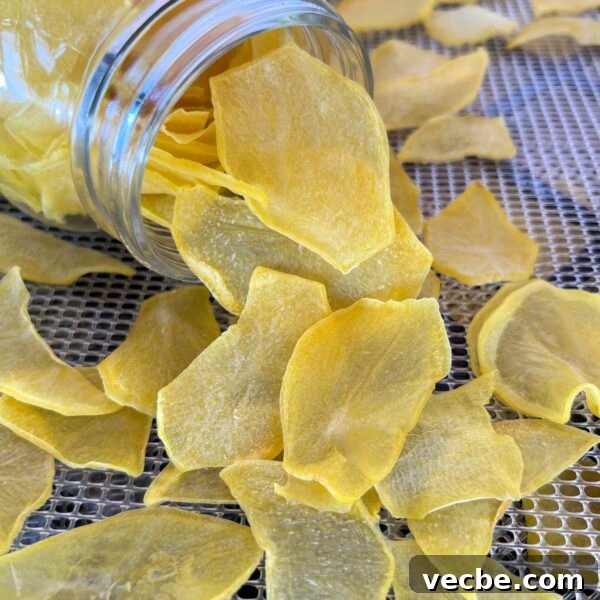 Dehydrate Potatoes: Oven and Dehydrator Methods for Storage 2 dehydrated potatoes in tipped jar on mesh