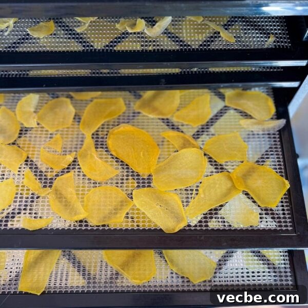 Dehydrate Potatoes: Oven and Dehydrator Methods for Storage 11 finished Yukon gold potatoes in dehydrator