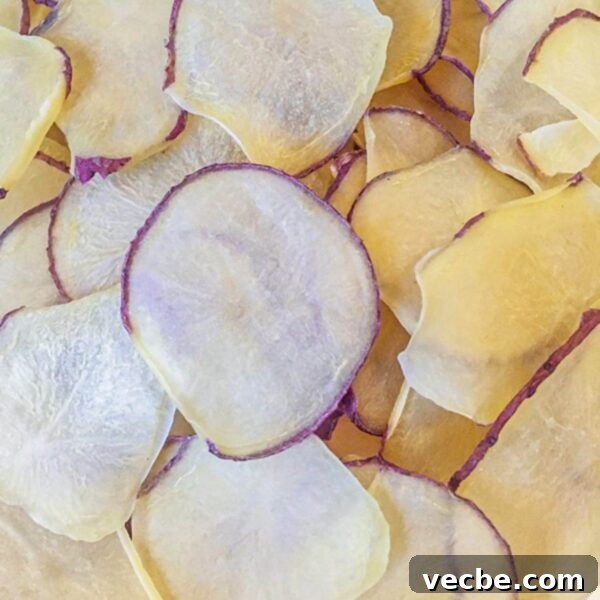 Dehydrate Potatoes: Oven and Dehydrator Methods for Storage 12 pile of dehydrated potato slices with red peel visible