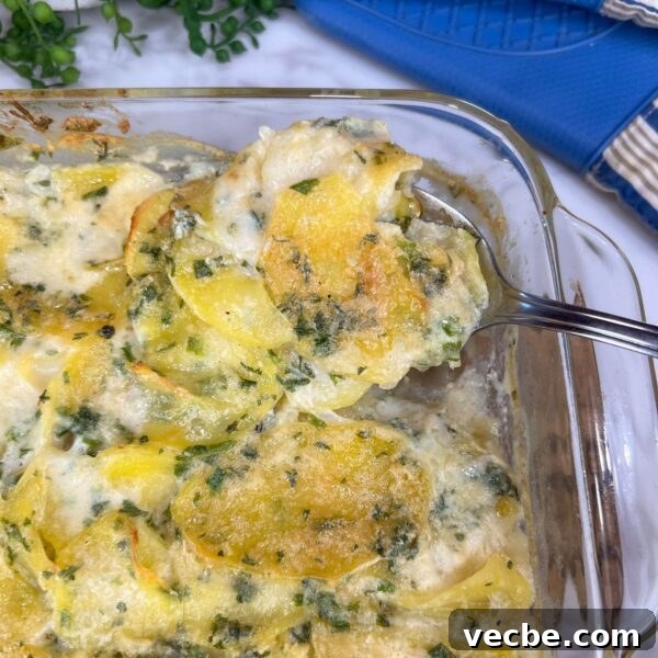 Dehydrate Potatoes: Oven and Dehydrator Methods for Storage 3 scalloped potatoes baked in glass dish on serving spoon