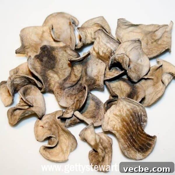 Dehydrate Potatoes: Oven and Dehydrator Methods for Storage 4 black, mishapen dehydrated raw potato slices