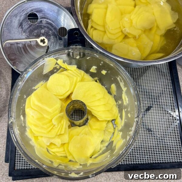 Dehydrate Potatoes: Oven and Dehydrator Methods for Storage 5 potato slices in food processor