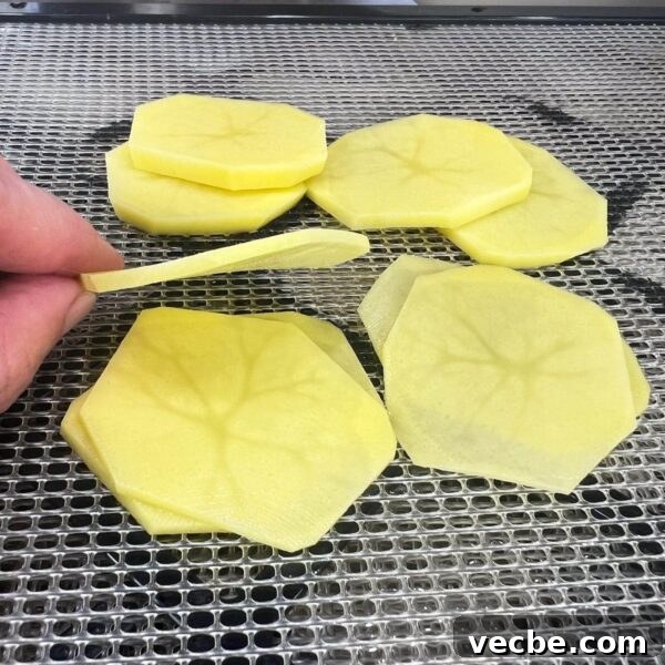 Dehydrate Potatoes: Oven and Dehydrator Methods for Storage 6 side view of a sliced yukon gold potato
