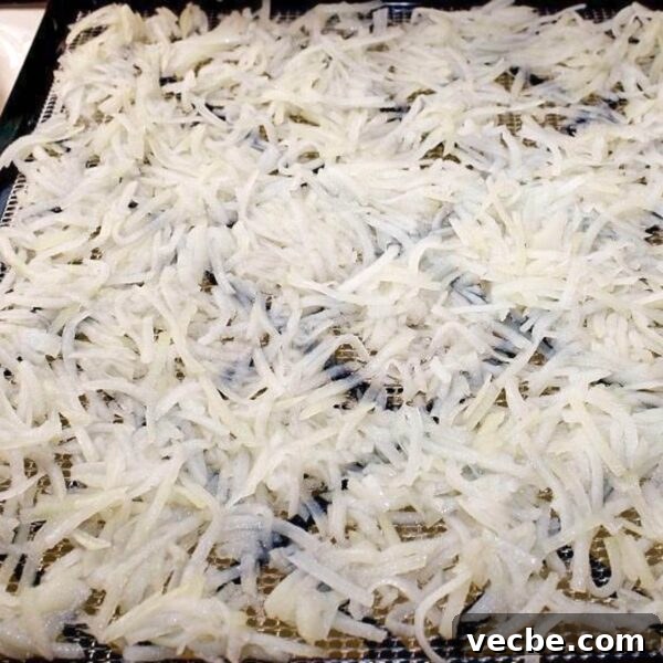 Dehydrate Potatoes: Oven and Dehydrator Methods for Storage 10 blanched shredded potatoes on dehydrator tray