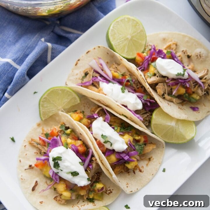 Image for Tuesday: Instant Pot Chicken Carnitas with Avocado Peach Salsa