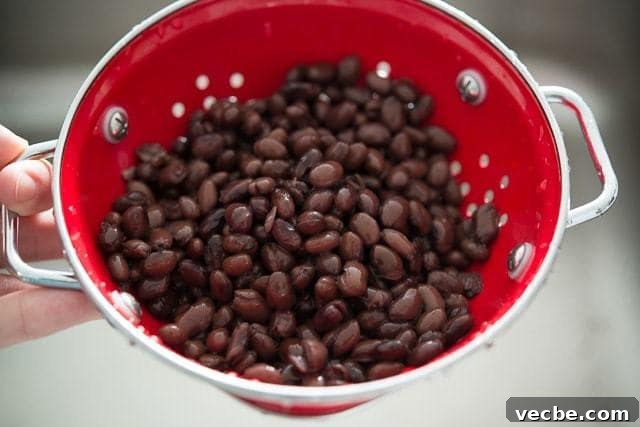 Creamy Black Bean Hummus Recipe 3 Black Beans in a Red Colander