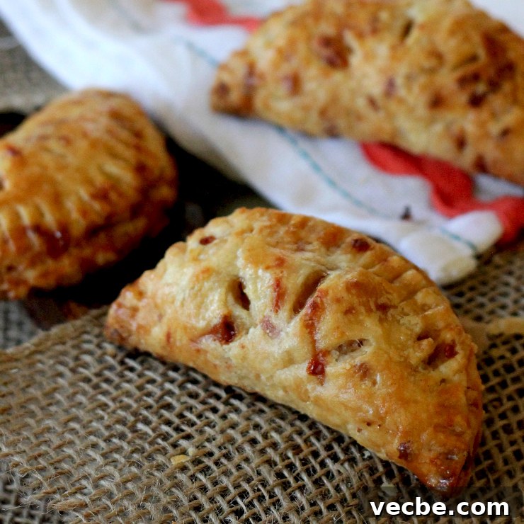 Apple Cheddar Hand Pies with Flaky Crust 2 Apple hand pies with a flaky cheddar crust.