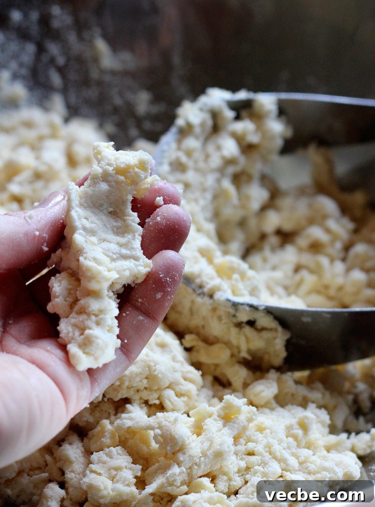 AppleCheddarHandpiesCrumble Crumbly cheddar pie dough mixture.