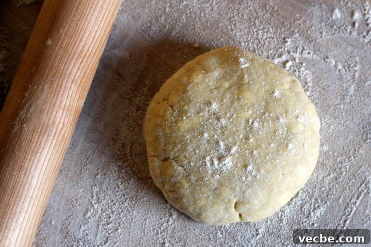 AppleCheddarHandpiesDoughDisk A disk of cheddar pie dough ready to roll.