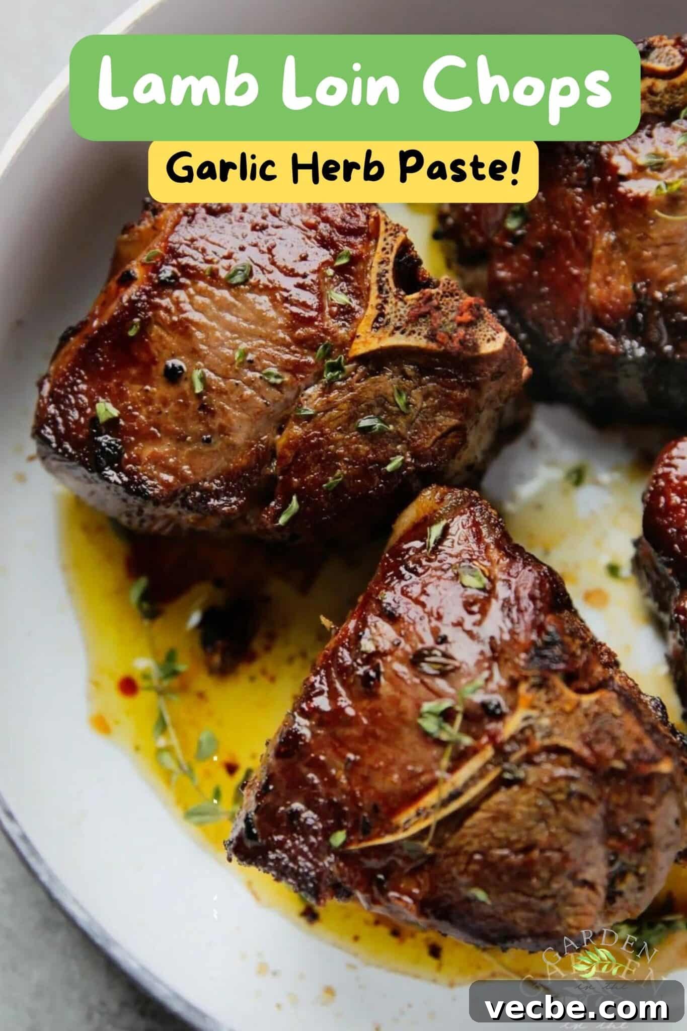 Pan-Seared Garlic & Herb Lamb Loin Chops 19 img 16945 18