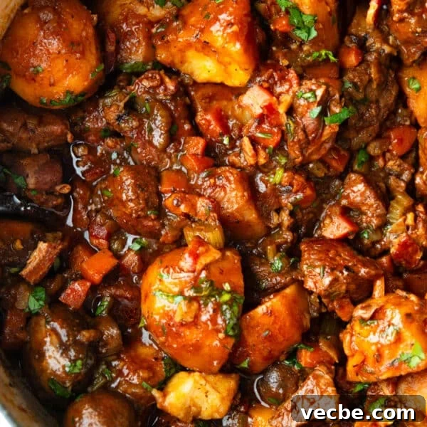 Pan-Seared Garlic & Herb Lamb Loin Chops 10 Irish lamb stew