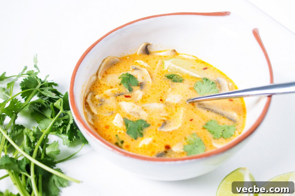 Authentic Tom Kha Gai Recipe: Thai Coconut Chicken Soup 2 tom kha gai - coconut chicken soup