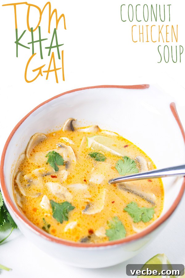 Authentic Tom Kha Gai Recipe: Thai Coconut Chicken Soup 7 tom kha gai