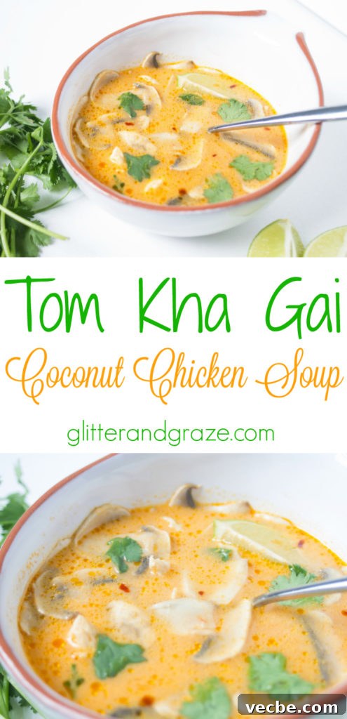 Authentic Tom Kha Gai Recipe: Thai Coconut Chicken Soup 10 tom kha gai long
