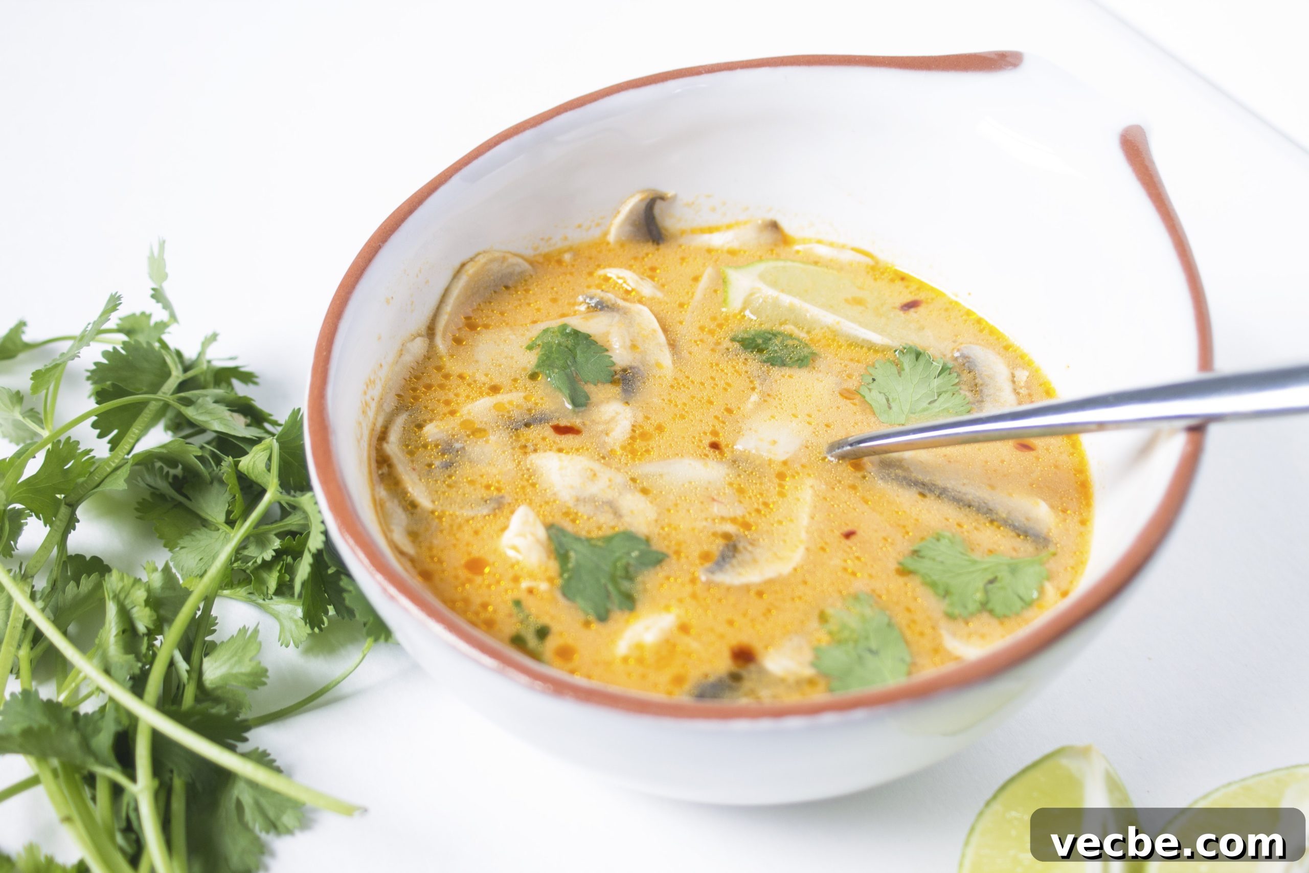 tom kha gai- coconut chicken soup