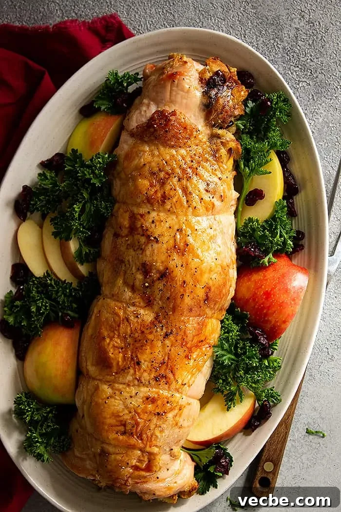 Apple Cranberry Stuffed Turkey Breast Recipe 6 overhead: rolled stuffed turkey breast garnished with parsley, cut apples, and dried cranberries