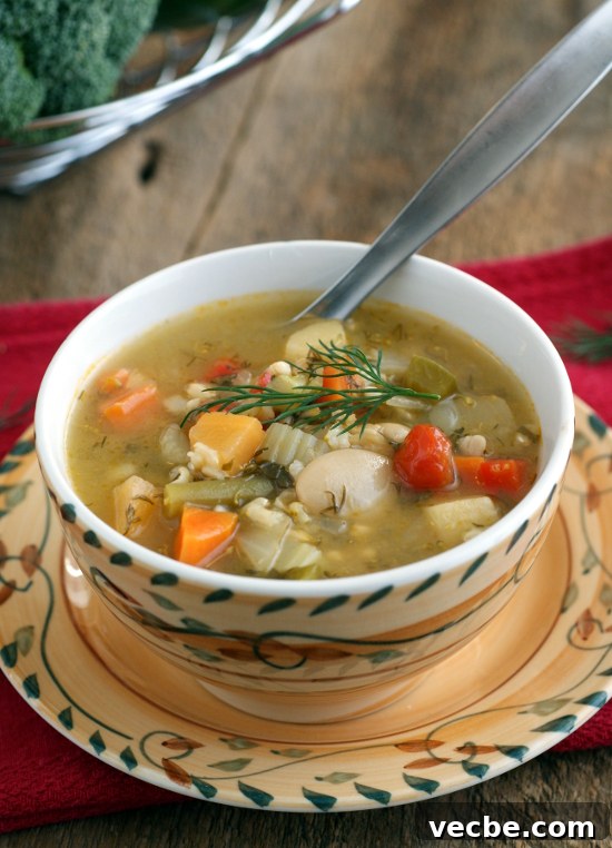 20+ Allergy-Friendly Winter Soups to Warm You This Season 15 SONY DSC