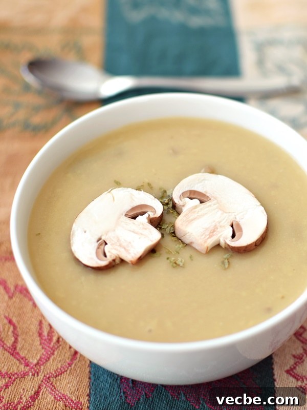 20+ Allergy-Friendly Winter Soups to Warm You This Season 18 dairy-free-cream-of-mushroom-soup-with-mushrooms