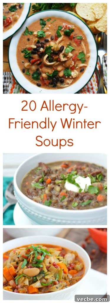 20+ Allergy-Friendly Winter Soups to Warm You This Season 23 20 Allergy-Friendly Winter Soups by AllergyAwesomeness.com