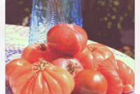Daily Beauty Tips and Trends August 25 2011